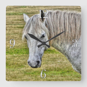 White New Forest Pony Wild Horse Square Wall Clock