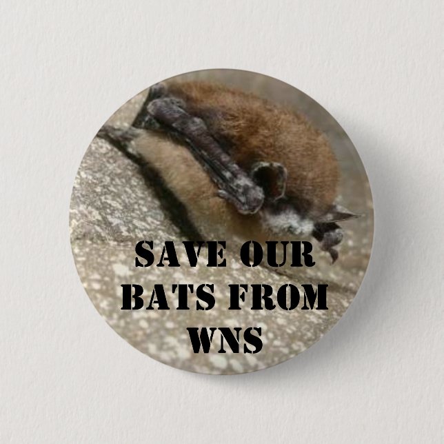 White Nose Syndrome Button (Front)