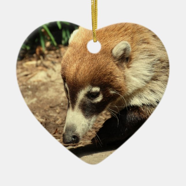 White Nosed Coati Ornament (Front)