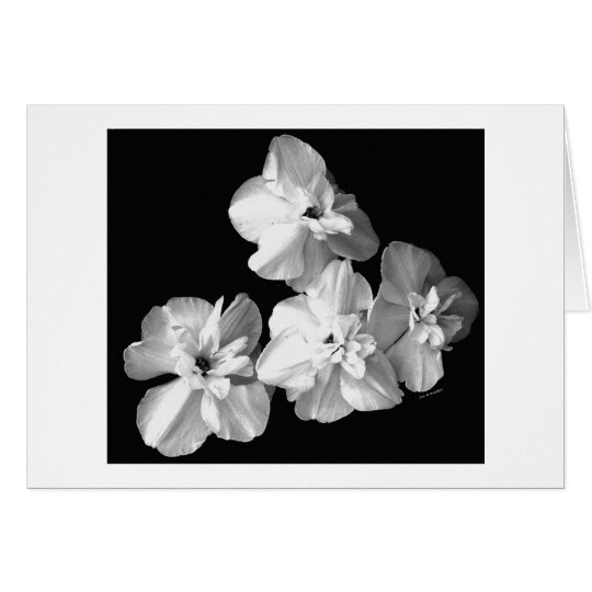 White on Black Card