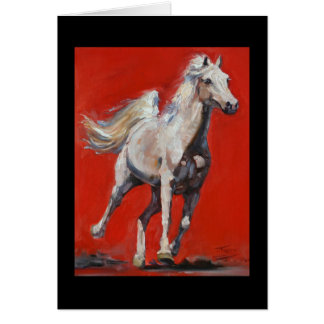 White on Red Arabian horse card
