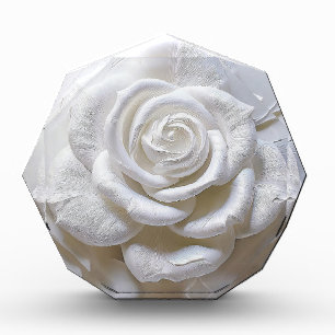 White On White - Sculpted Rose Photo Block