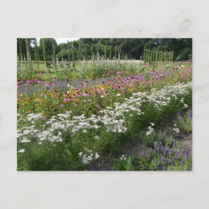 White Orange Purple Wildflowers Field DIY Postcard