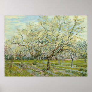 White Orchard by Vincent Van Gogh Poster