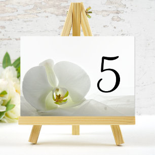 White Orchid and Bridal Veil Wedding Table Numbers