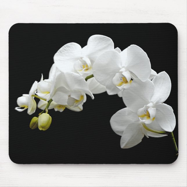 White Orchid Blossom Mouse Pad (Front)