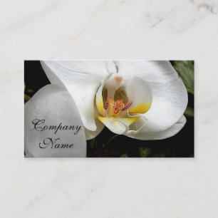 White Orchid Business Card
