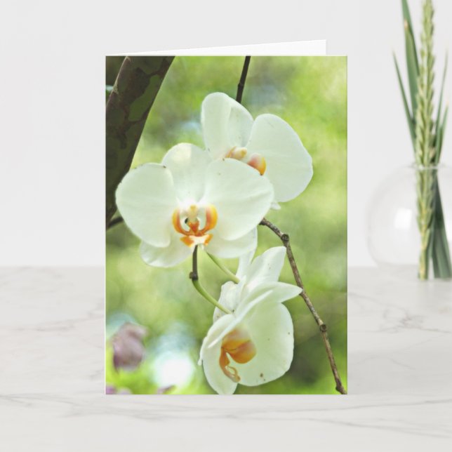 White Orchid Card (Front)