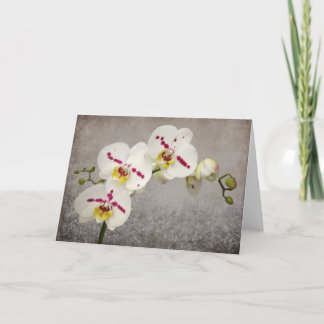 White Orchid Card