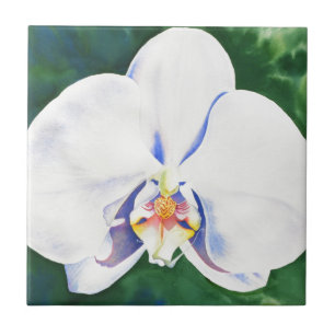 White Orchid Ceramic Tile