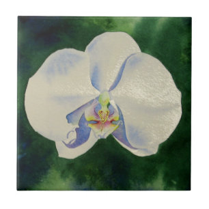 White Orchid Ceramic Tile
