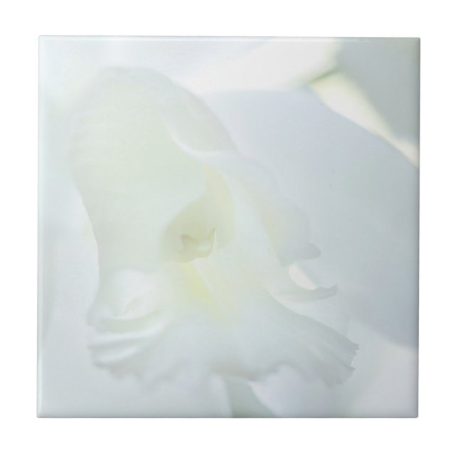 White Orchid Ceramic Tile (Front)