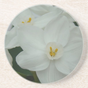 White Orchid Coaster