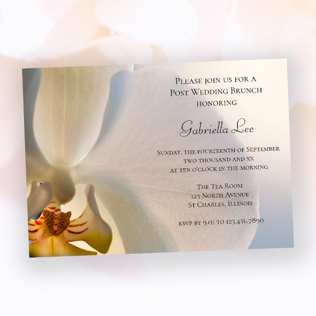 White Orchid Elegance Post Wedding Brunch Invitation (Creator Uploaded)