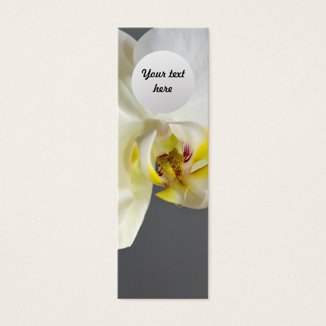 White Orchid Flower (Front)