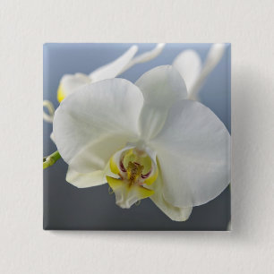 White Orchid Flower 15 Cm Square Badge