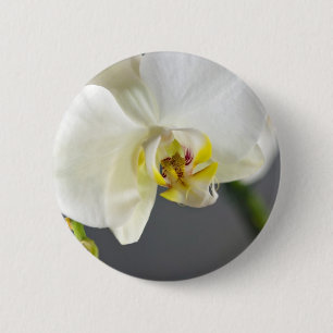 White Orchid Flower 6 Cm Round Badge