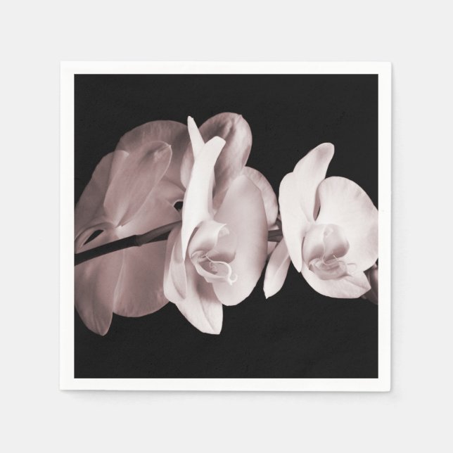 White Orchid Flower Black Background Abstract Napkin (Front)
