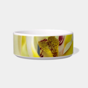 White Orchid Flower Bowl