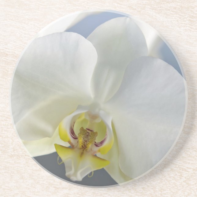 White Orchid Flower Coaster (Front)