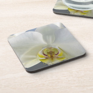 White Orchid Flower Coaster