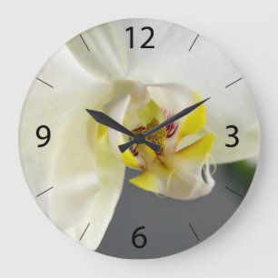 White Orchid Flower Large Clock