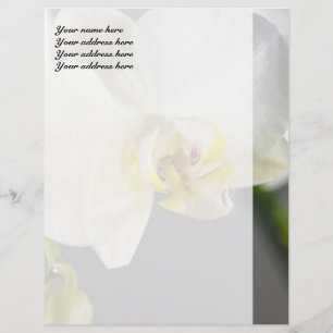 White Orchid Flower Letterhead Template