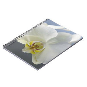 White Orchid Flower Notebook