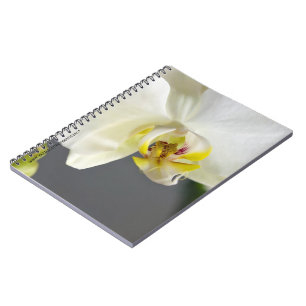 White Orchid Flower Notebook