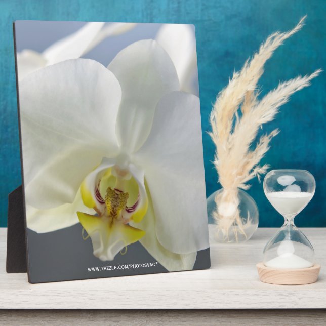 White Orchid Flower Plaque (Side)