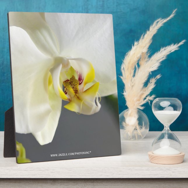 White Orchid Flower Plaque (Side)