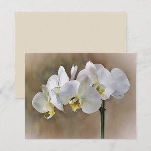 White Orchid Flowers Art Note Card Set
