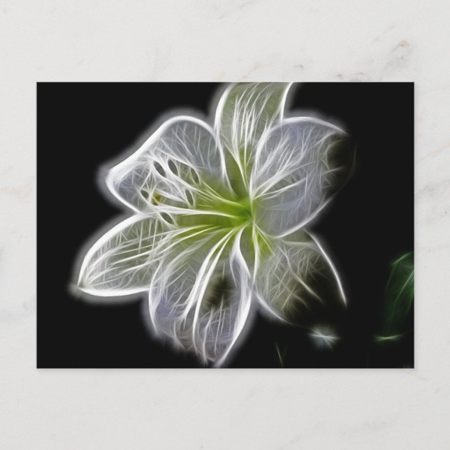 White Orchid Fractal On Black Postcard (Front)