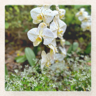 White Orchid Glass Coaster