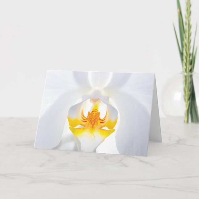 White Orchid Greeting Card (Front)