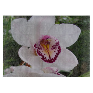 White Orchid I Beautiful Tropical Flower Cutting Board