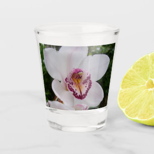 White Orchid I Beautiful Tropical Flower Shot Glass