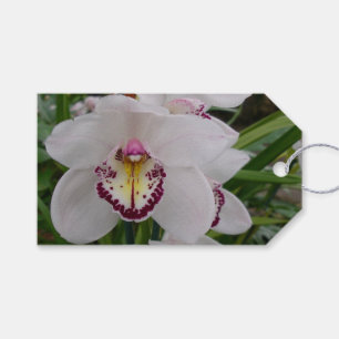 White Orchid II Elegant Floral Gift Tags