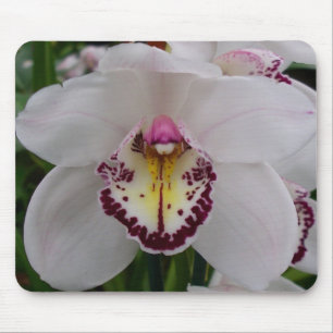 White Orchid II Elegant Floral Mouse Pad