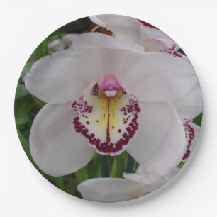 White Orchid II Elegant Floral Paper Plate
