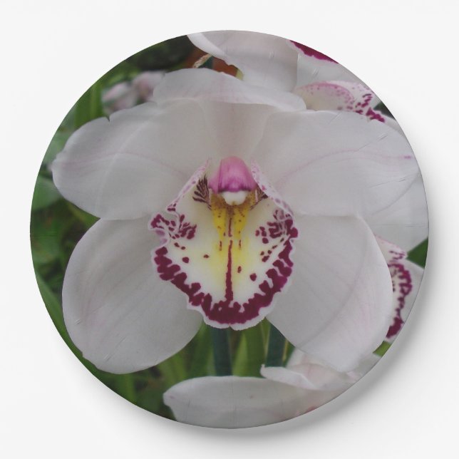 White Orchid II Elegant Floral Paper Plate (Front)