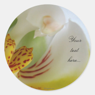 White Orchid Magic Wedding Invitation Seals