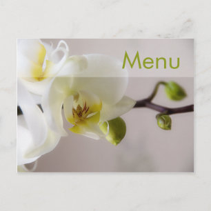 White Orchid • Menu Postcard