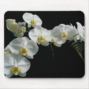 White Orchid Mousepad