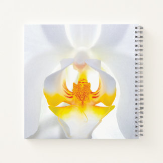 White Orchid Notebook