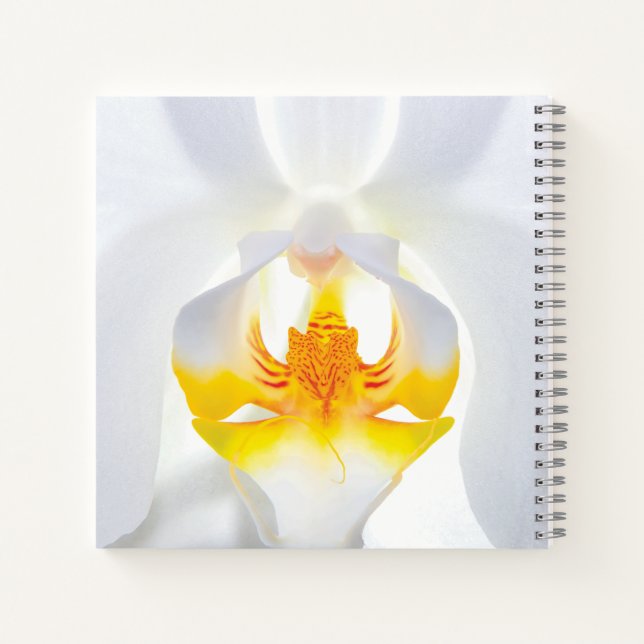 White Orchid Notebook (Back)