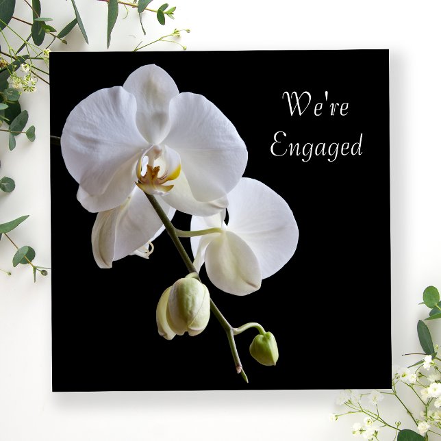 White Orchid on Black Engagement Party Invitation (Creator Uploaded)