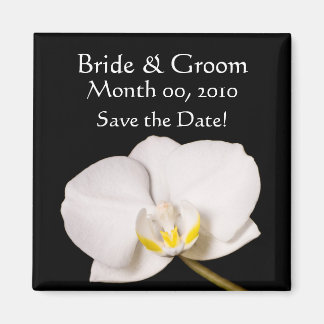 White Orchid on Black Magnet