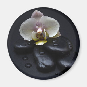 White Orchid On Black Stones Magnet