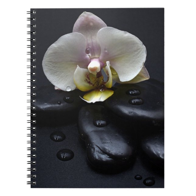 White Orchid On Black Stones Notebook (Front)